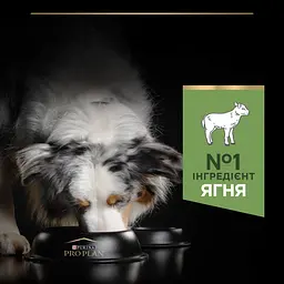 Сухий корм Purina Pro Plan Medium Adult 1+ Sensitive Digestion для дорослих собак середніх порід з чутливим травленням з ягням 3 кг - мініатюра 7