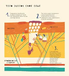 Книжка про вавки - мініатюра 6