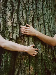 Гель для душу Yope Wood Sandal Tree, 400 мл - мініатюра 5