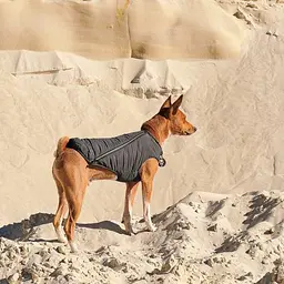 Жилет Pet Fashion E.Vest для собак, розмір M, сірий - мініатюра 5