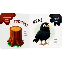 Книга Розглядайка-розвивайка. Кольори - Катерина Столяренко (F00032534) - мініатюра 2