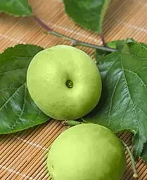 Саджанець Agro-Market Слива Ренклод Білий (літній сорт, ранній термін дозрівання) (21375) 1 шт. в упаковці - мініатюра 4