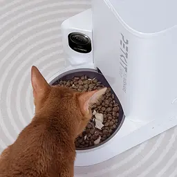 Смарт-годівниця Petkit YumShare Solo with Camera (P571) - мініатюра 7