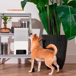 Інтерактивна камера відеоспостереження з диспенсером для корму Petcube Bites 2 Lite (BL10US) [87148] - мініатюра 7