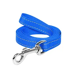 Повідець для собак Dog Extreme з нейлону Ш 25 мм Д 200 см блакитний (04682)