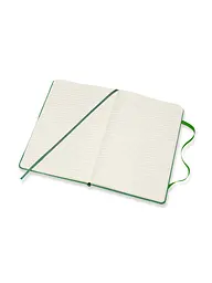 Записник Moleskine Bob Dylan середній, Лінійка Зелений (LEBDQP060A) - мініатюра 4