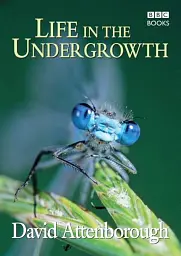 Life in the Undergrowth