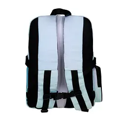 Рюкзак шкільний Bagland Buddy 16 л тіффані - мініатюра 4