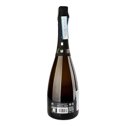 Вино ігристе Franzini Prosecco DOC Extra Dry біле екстра сухе 0.75 л - мініатюра 2