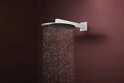 Верхній душ Hansgrohe Raindance Alive S 300 2jet EcoSmart з тримачем matt white 24541700 - мініатюра 2