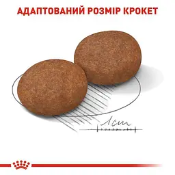 Сухий корм для старіючих собак Royal Canin Medium Adult 7+, 15 кг (3005150) - мініатюра 3