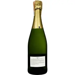 Вино ігристе Roger de Flor Cava Brut, біле, брют, 0,75 л - мініатюра 2