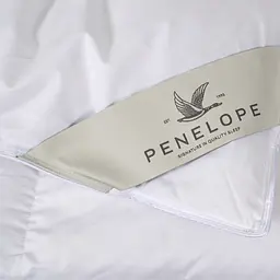 Ковдра Penelope - Gold 13,5 tog пухова 155x215 полуторна - мініатюра 4