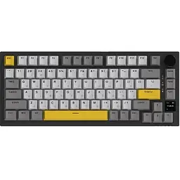 Клавіатура Ajazz AK820 Pro Flying Fish Switch Black RGB USB/Wireless/Bluetooth UA Black (AK820PRO-FF-BGY)