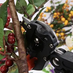 Садові ножиці Titan Professional Grafting Tool для щеплення дерев у кейсі - мініатюра 9