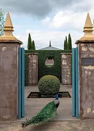 A Life in Garden Design - мініатюра 2