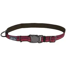 Нашийник для собак Coastal k9 Explorer нейлон 2,5см x 30-45 см