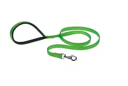 Повідець для собак Ferplast Daytona G15/120 нейлоновий 1.5х120 см 75334923