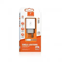 Мережевий зарядний пристрій SkyDolphin SC38T (USB TYPE-Cx2.4A) White + кабель Lightning (MZP-000182)