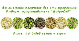 Автоматичний пророщувач насіння та зерен ДоброСад - мініатюра 7