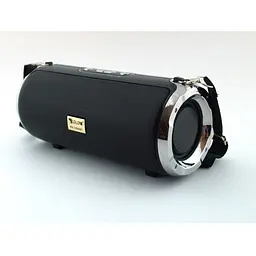 Бездротова колонка чорна bluetooth з FM та MP3 Xtreme Golon Atlanfa RX-1888bt 20W