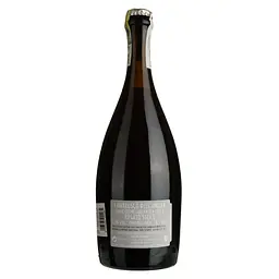 Вино ігристе Puianello Ancestrale Lambrusco dell'Emilia IGT рожеве сухе 0.75 л - мініатюра 2