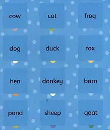 Lift-the-Flap. Word Book - мініатюра 3