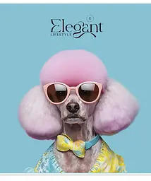 Зошит загальний Школярик Elegant portrets у клітинку 48 аркушів 10 шт. (048-3309K) - мініатюра 3