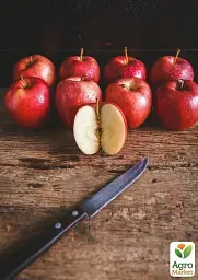 Саджанець Agro-Market Яблуня Джонаголд Декоста (зимовий сорт, пізній термін дозрівання) 1 шт. в упаковці (39829) - мініатюра 2