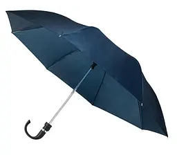 Парасолька Semi Line Blue (L2038-1) (DAS302211)