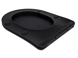 Сидіння для унітазу Qtap (Robin 520) з мікроліфтом, Slim Duroplast, Quick Release QTSC179MB48676 - мініатюра 3