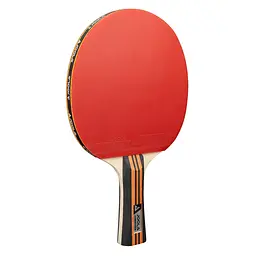 Набір для настільного тенісу Joola Family Advanced 4 Bats 6 Balls (54823) - мініатюра 3