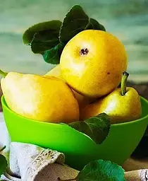 Саджанець Agro-Market Груша Дюшес літній (літній сорт, ранній термін дозрівання) (46260) 1 шт. в упаковці - мініатюра 5