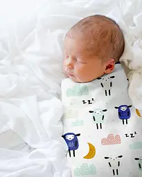 Пелюшки багаторазові Cosas дитячі Mint Sheep 2 шт., 80х100 см, білі - мініатюра 4