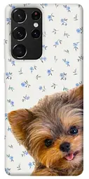 TPU чохол Demsky Cute Yorkie для Samsung Galaxy S21 Ultra