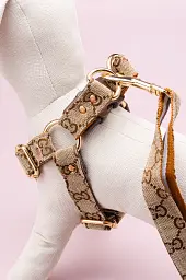 Комплект шлейка + повідець 1.5м в стилі Gucci (Бежевий) (Бежевий) M