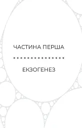 Сон у морі зірок - Крістофер Паоліні - мініатюра 7