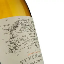 Вино Catena Zapata Appellation Tupungato Chardonnay, біле, сухе, 0,75 л - мініатюра 3