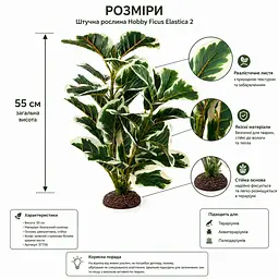 Штучна рослина Hobby Ficus Elastica 2 55 см (37706) для тераріуму, акватераріуму та палюдаріуму - мініатюра 2