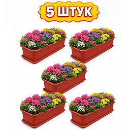 Набір із 5 ящиків балконних для вирощування розсади, декоративних і кімнатних рослин 49х16.5х14.5 см Бордовий 88598 - мініатюра 2
