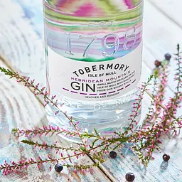 Джин Tobermory Mountain Gin 43.3% 0.7 л - мініатюра 5
