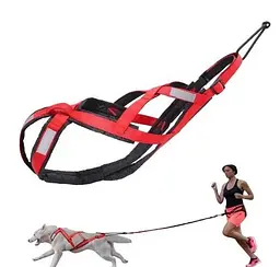 Тягова шлейка для собак V.PET.B.R H6 Red, 2XL Червоний - мініатюра 1