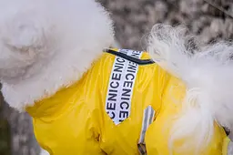 Комбінезон Smart Pet Limon - мініатюра 5