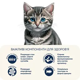 Корм для кошенят Home Food зі свіжою куркою 1,6кг - мініатюра 5