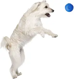 М'ячик для собак з пищалкою Nerf Dog Soccer Squeak Ball - мініатюра 5