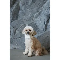 Шапка для собак Pet Fashion Teddy М біла - мініатюра 4