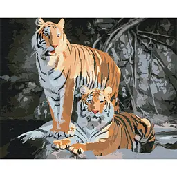 Набір для розпису по номерах Дикі тигри, 40x50 см, BS52793