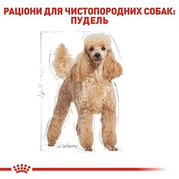 Сухий корм для дорослих собак породи Пудель Royal Canin Poodle Adult, 1,5 кг (3057015) - мініатюра 3