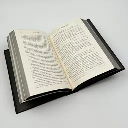 Ніби ми злодії - М. Л. Ріо | Артбукс, книга українською, нова, тверда - мініатюра 4