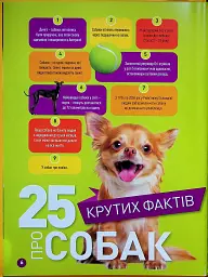 Гав! 100 цікавих фактів про собак - мініатюра 2